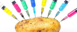Ostorozhno GMO geneticheski modificirovannye organizmy
