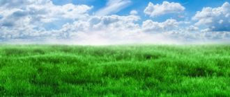 Из чего состоит небо и какого цвета воздух?